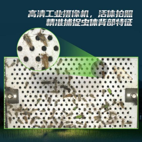 全面升級！托普云農(nóng)這樣防治“作物殺手”